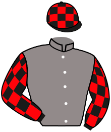 Casaque du n°6 — SHEZALA