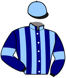 Casaque du n°4 — JASTAR
