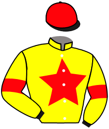 Casaque du n°3 — SPECIAL DU ROCHER