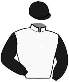 Casaque du n°2 — KAID DES CHAMPS