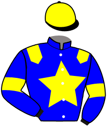 Casaque du n°2 — LORD EAGLE
