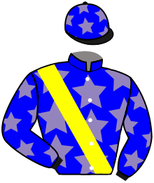 Casaque du n°11 — KNIGHTOFTHEFOREST
