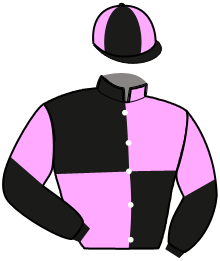 Casaque du n°13 — INSTAR