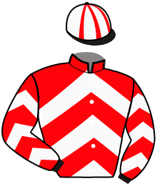 Casaque du n°4 — JITANE VALLEE