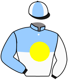 Casaque du n°2 — AMIGO ELEGANTE