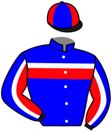 Casaque du n°7 — SYLVANIA