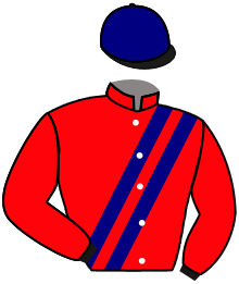 Casaque du n°2 — AMIGUITO DON JOSE