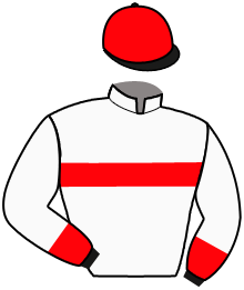 Casaque du n°6 — RUGIENTE