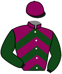 Casaque du n°10 — CAREGIVER