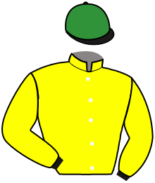 Casaque du n°5 — FORNALI
