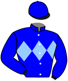 Casaque du n°2 — HARICOT