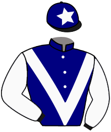 Casaque du n°8 — EAGLE EMBLEM