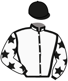 Casaque du n°6 — RHODES RUNNER