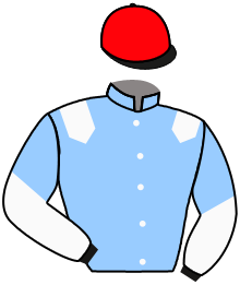 Casaque du n°10 — HORWICH