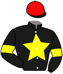 Casaque du n°11 — PATRICIA R