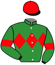 Casaque du n°3 — HELM ROCK