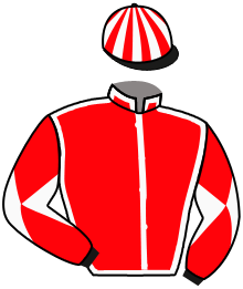 Casaque du n°8 — HOUSTONN