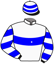 Casaque du n°3 — ALKUWARRIOR