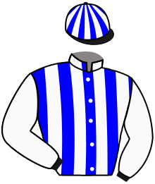 Casaque du n°13 — ROBIN HILL
