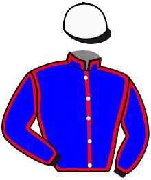 Casaque du n°2 — ORKAN BO