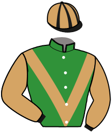 Casaque du n°10 — SAM DE SPAGNIE