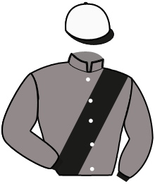 Casaque du n°15 — PEPE DEHELS