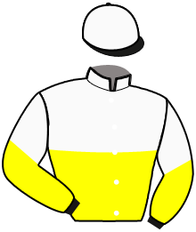 Casaque du n°4 — NORDIN
