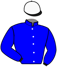 Casaque du n°2 — RITE ON LINE  E