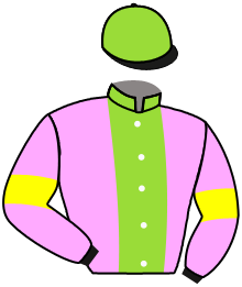 Casaque du n°11 — AZALEAH
