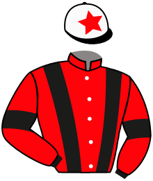 Casaque du n°4 — MASTER MAN