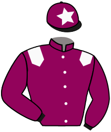 Casaque du n°5 — LILY DES CHAMPS