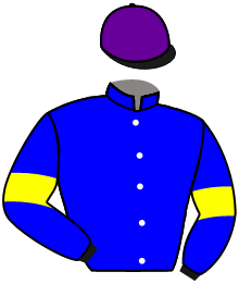 Casaque du n°2 — ALLURRE