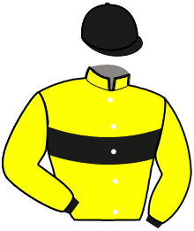 Casaque du n°7 — LEO BLAI