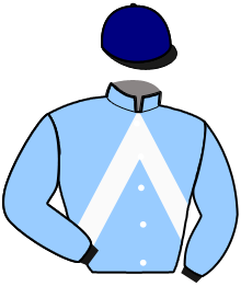 Casaque du n°2 — HILL'S VICTORY