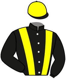Casaque du n°1 — LINGOT MAR