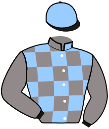 Casaque du n°1 — HENAO DE VICTHI