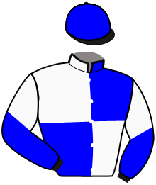 Casaque du n°7 — JEROMINUS TURGOT