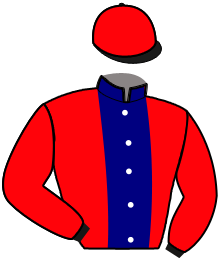 Casaque du n°8 — KITO TURGOT