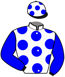 Casaque du n°14 — MADAME D'OURVILLE