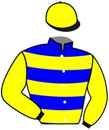 Casaque du n°8 — NUNCIO DE HOERDT