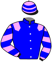 Casaque du n°2 — JIM CADE