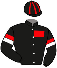 Casaque du n°2 — BOUNTY DOC