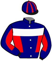 Casaque du n°10 — SOFT LANDING