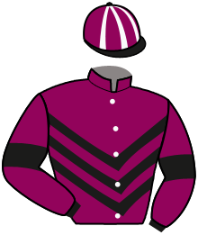 Casaque du n°2 — BOLD AND TWIST