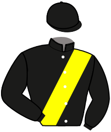Casaque du n°9 — HYERIM PARK RACING
