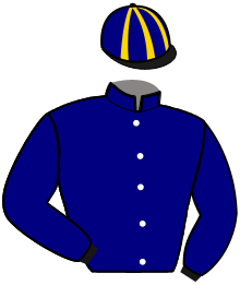 Casaque du n°4 — FIRST ONE DIAMOND