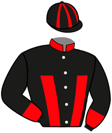 Casaque du n°11 — MANDALOUNA