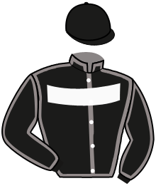 Casaque du n°2 — MISS BORGA