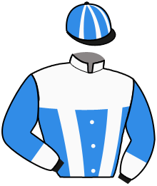 Casaque du n°10 — MAGNUS PALEMA