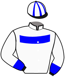 Casaque du n°8 — INGMAR BANKER